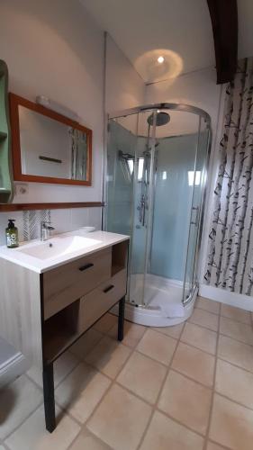 une salle de bain avec une douche, un lavabo et un comptoir dans l'établissement The Place to B&B, à Huelgoat