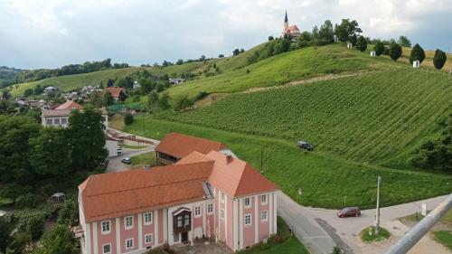 een luchtzicht op een huis op een heuvel met een wijngaard bij Rezidenca Sv. Peter in Malečnik