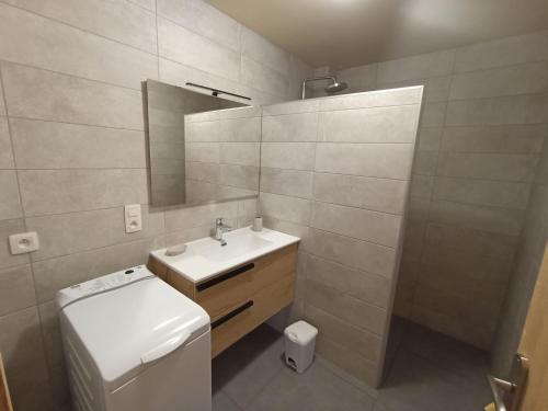 une salle de bain avec un lavabo, des toilettes et un miroir dans l'établissement À louer: Appt 2 pièces, 5 pers, Châtel centre, proche télécabine, balcon, parking, animaux admis - FR-1-676-57, à Châtel