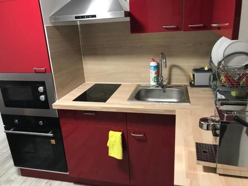 une petite cuisine avec un évier et un micro-ondes dans l'établissement Chambre lit double, espaces partagés, 10km de Paris, 2 km du métro, à Stains