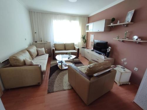- un salon avec deux canapés et une télévision dans l'établissement Apartman Unac, à Drvar