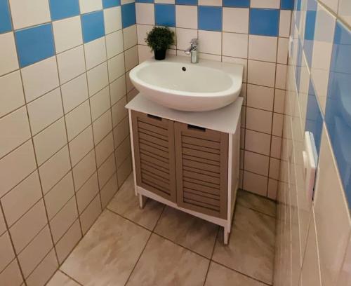 La salle de bains est pourvue d'un lavabo et d'une plante en pot. dans l'établissement Gîte Les Roses - Plain-pied - Calme - WIFI Gratuit, à Noyelles-sur-Mer