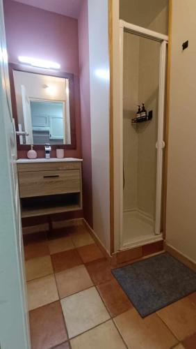 une salle de bain avec une douche, un lavabo et un miroir dans l'établissement Terre de Bourgogne - Appartement au centre ville d'Avallon, à Avallon