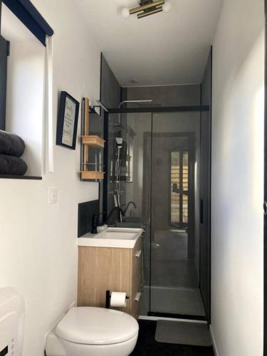 une salle de bain avec toilettes, lavabo et douche dans l'établissement Entre ville et campagne appartement cosy avec parking et terrasse Wood, à Coutiches