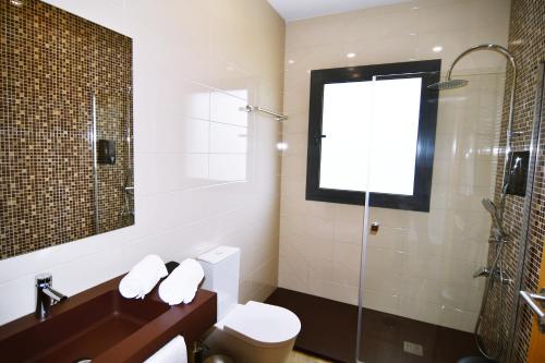 een badkamer met een toilet, een wastafel en een douche bij Bed & Breakast EQUITARE RURAL in Miranda do Corvo