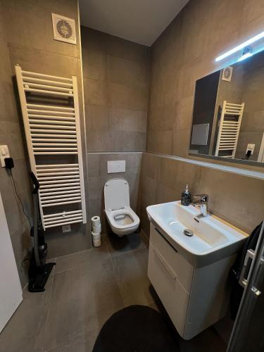 a bathroom with a white sink and a toilet at Apartmán Melissa in Žilina