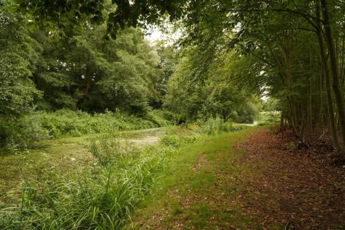 a dirt road in the middle of a forest at Plezant in de Fazant in Diffelen