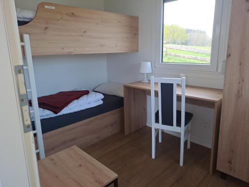a bedroom with a bunk bed and a desk and a chair at Haus Hecht in Lohmen