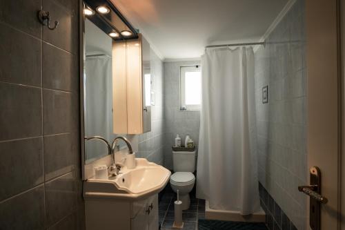 y baño con lavabo, aseo y ducha. en Albireo Luxury Villa, en La Canea