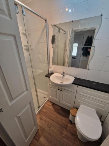 博德明的住宿－Cosy Self Contained Annexe，浴室配有卫生间、盥洗盆和淋浴。