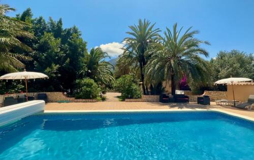a swimming pool in a yard with palm trees at Open Sky Villa in Denia