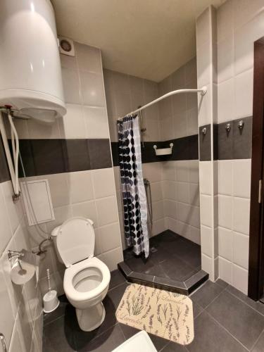 a small bathroom with a toilet and a shower at Apartment Zlatna kotva in Golden Sands