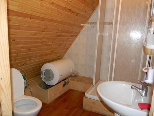 Un baño pequeño con inodoro y lavabo. en Neciunu sodyba, en Bijūnai