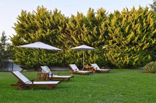 grupa leżaków i parasoli na trawie w obiekcie Villa John Dimeon Kato Achaia With Pool - Happy Rentals w mieście Patras