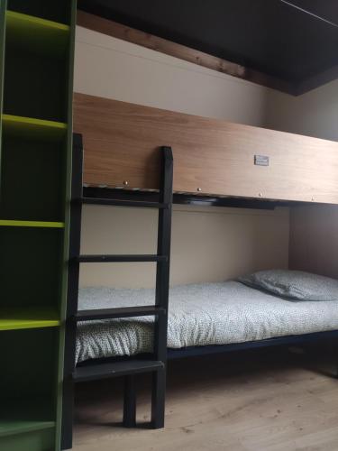 a bedroom with two bunk beds and a ladder at Location Saisonnière Onesse-Laharie in Onesse-et-Laharie