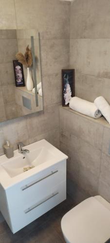 a bathroom with a sink and a toilet and a mirror at Penzion Axiom in Frymburk