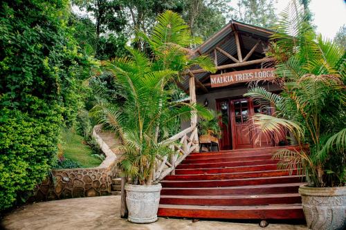Malkia Trees Lodge