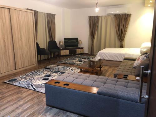 New cairo的住宿－Al-Andalos Studio，客厅配有床和沙发