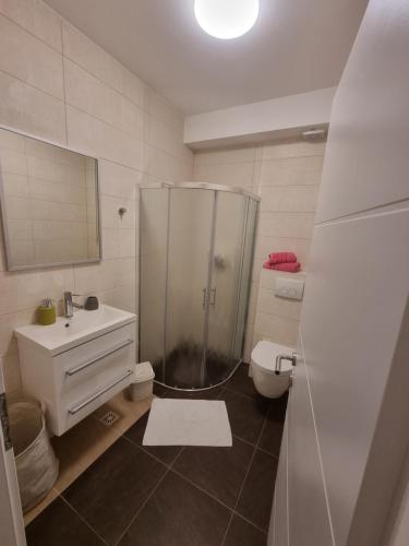 Močići的住宿－Dubrovnik Airport Apartment Pascal，带淋浴、卫生间和盥洗盆的浴室