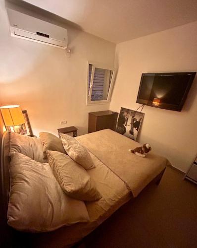 um quarto com uma cama com um gato sentado nela em A private room in a modern apartment near the Belinson/Schneider hospital and the Red Line to Tel Aviv em Petaẖ Tiqwa
