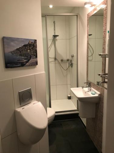 uma casa de banho com um WC, um lavatório e um chuveiro em Moderne Wohnung in zentraler Lage em Wiesbaden
