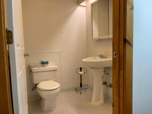 uma casa de banho com um WC e um lavatório em Rhinebeck Village Inn em Rhinebeck