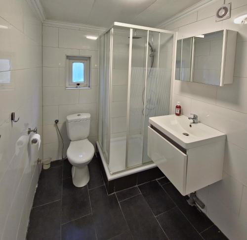 a bathroom with a toilet and a shower and a sink at Cozychalet met prive Hot tub in Lanaken