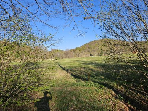 a shadow of a person walking in a field at Koliba Japa in Delnice