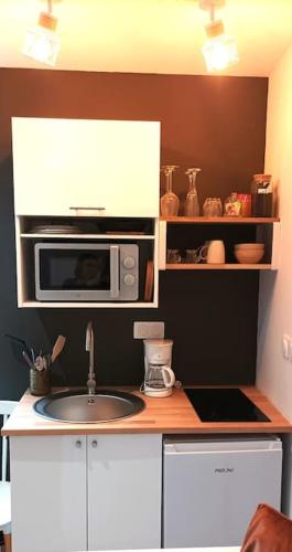 une cuisine avec un évier et un micro-ondes dans l'établissement Studio rénové hypercentre, à Amiens