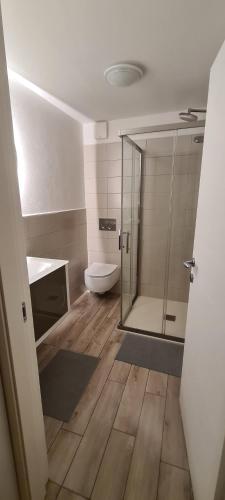 La salle de bains est pourvue de toilettes et d'une douche en verre. dans l'établissement Casa Rossa Duplex, à Mezzovico