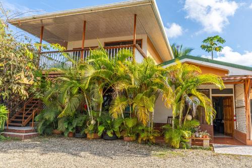 una casa con palmeras delante en Villa Manolo Ocean and Forest View Hotel, en Drake