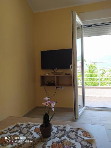 Una televisión o centro de entretenimiento en Rada