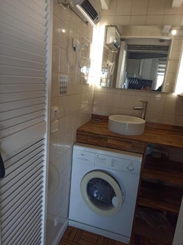 une salle de bain avec une machine à laver et un lavabo dans l'établissement Hauts de Saint Pierre, à Saint Pierre La Mer