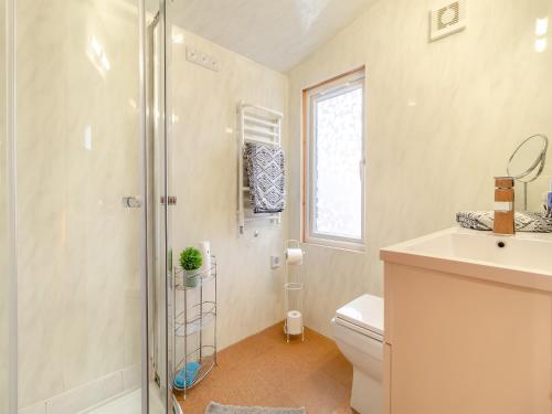 a bathroom with a shower and a toilet and a sink at Easthorpe Retreat in Copford