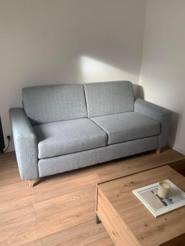 ein graues Sofa im Wohnzimmer mit Couchtisch in der Unterkunft Broc in Broc