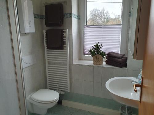 ein Bad mit einem WC, einem Waschbecken und einem Fenster in der Unterkunft Honighof Vierk in Langenleuba-Niederhain