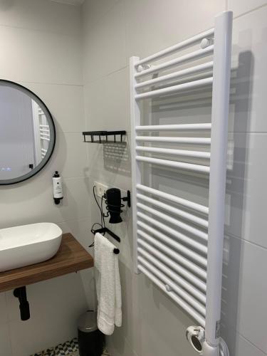 bagno con lavandino e specchio di Apartamentos Lux Carrión a Carrión de los Condes