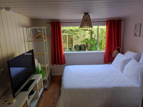 um quarto com uma cama, uma televisão e uma janela em La Casetta em Gattières