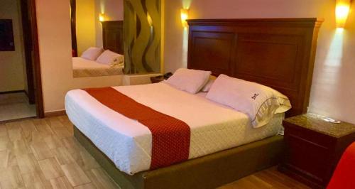 ein Schlafzimmer mit einem großen Bett und einem Spiegel in der Unterkunft Hotel Dali in Reynosa