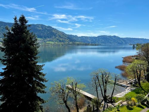 a view of a lake with a tree in the foreground at See-Apartment AURA am Fuße der Gerlitzen Alpe und Ufer des Ossiacher Sees - mit privatem Seezugang & Hallenbad in Steindorf am Ossiacher See