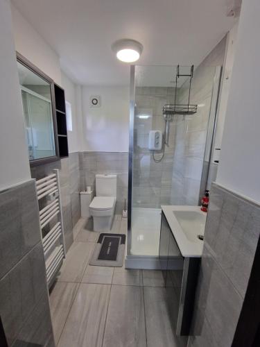 een badkamer met een douche, een toilet en een wastafel bij CKB Flat- comfort, cosy, and secure! in Codsall