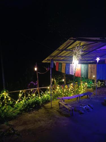 a tent lit up at night with christmas lights at Triloka Dorm by The Offbeat Crew in Munnar