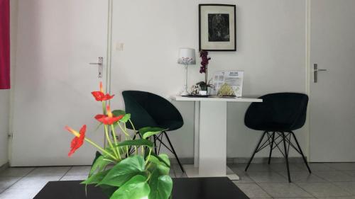 Studio in a Viennese traditional building, central location
