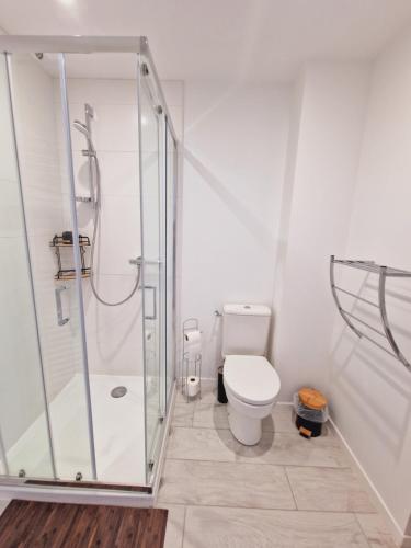 een badkamer met een douche en een toilet bij la maison de léo in Les Sables-dʼOlonne