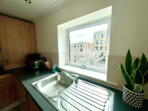 a kitchen with a sink and a window at Kiwi Tree Serviced Apartment in Cambridge