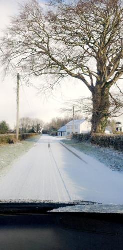 a snow covered road with a tree in the middle at Harmony Cottage in Eglinton