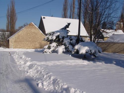 a tree covered in snow in front of a house at Penzion V polích in Malé Číčovice