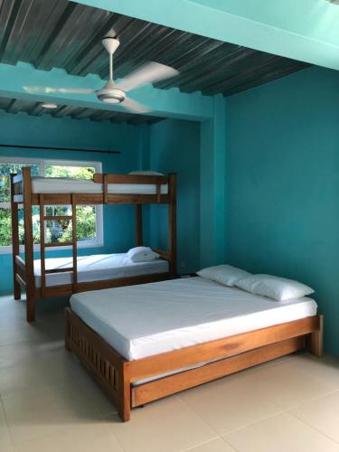 1 dormitorio con 2 literas en una pared azul en CABAÑAS CRAZY COCONUTS, en San Antero