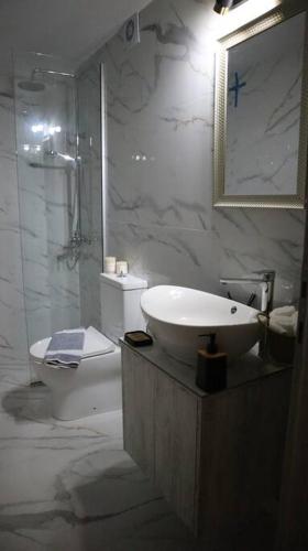 a bathroom with a sink and a toilet and a shower at Studio Emmanouil in Balíon