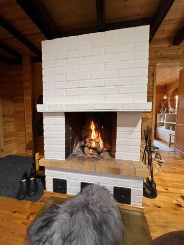 a brick fireplace with a dog in front of it at Villa Aiku in Leppäjärvi